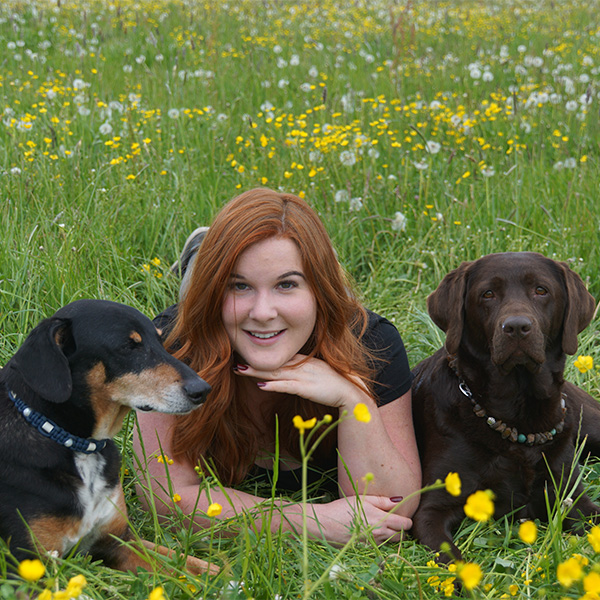 Julia Mösel, Backoffice